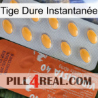 Tige Dure Instantanée 43